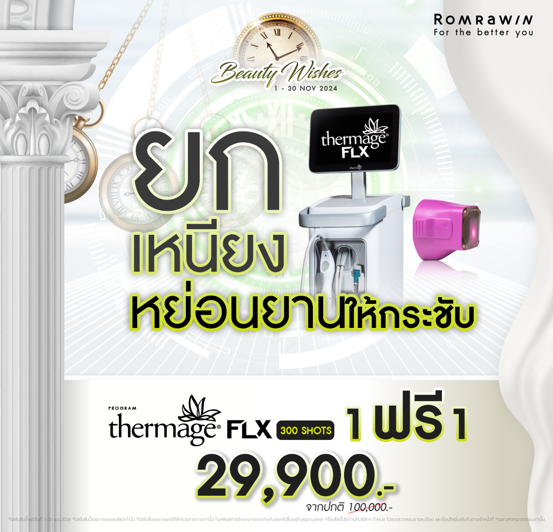 โปรโมชันเดือน 11