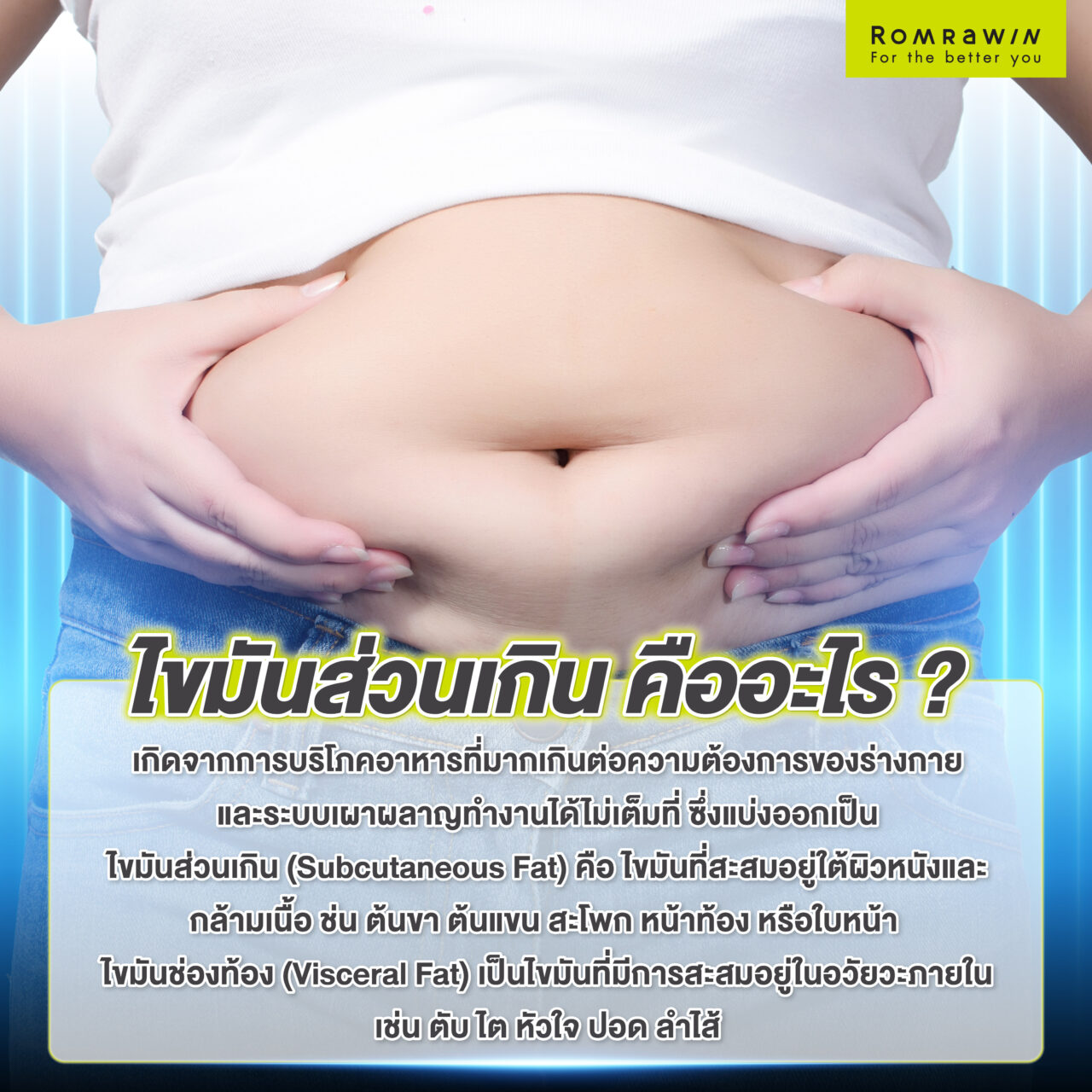 ไขมันส่วนเกินคืออะไร