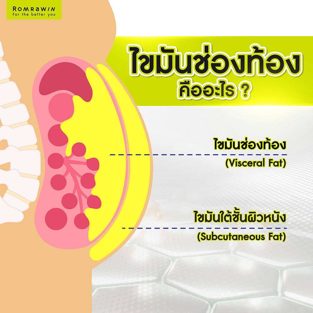 ไขมันช่องท้อง