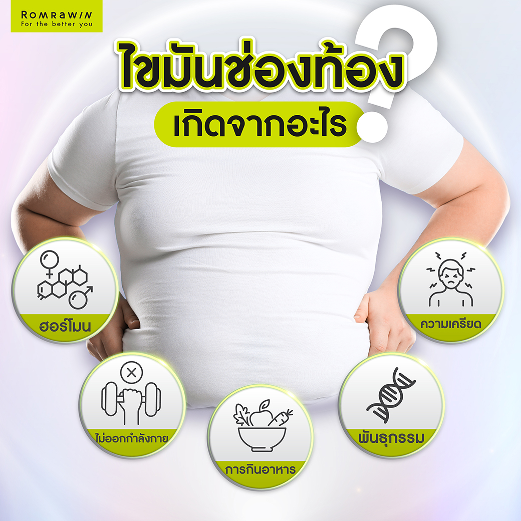 ไขมันช่องท้องเกิดจากอะไร