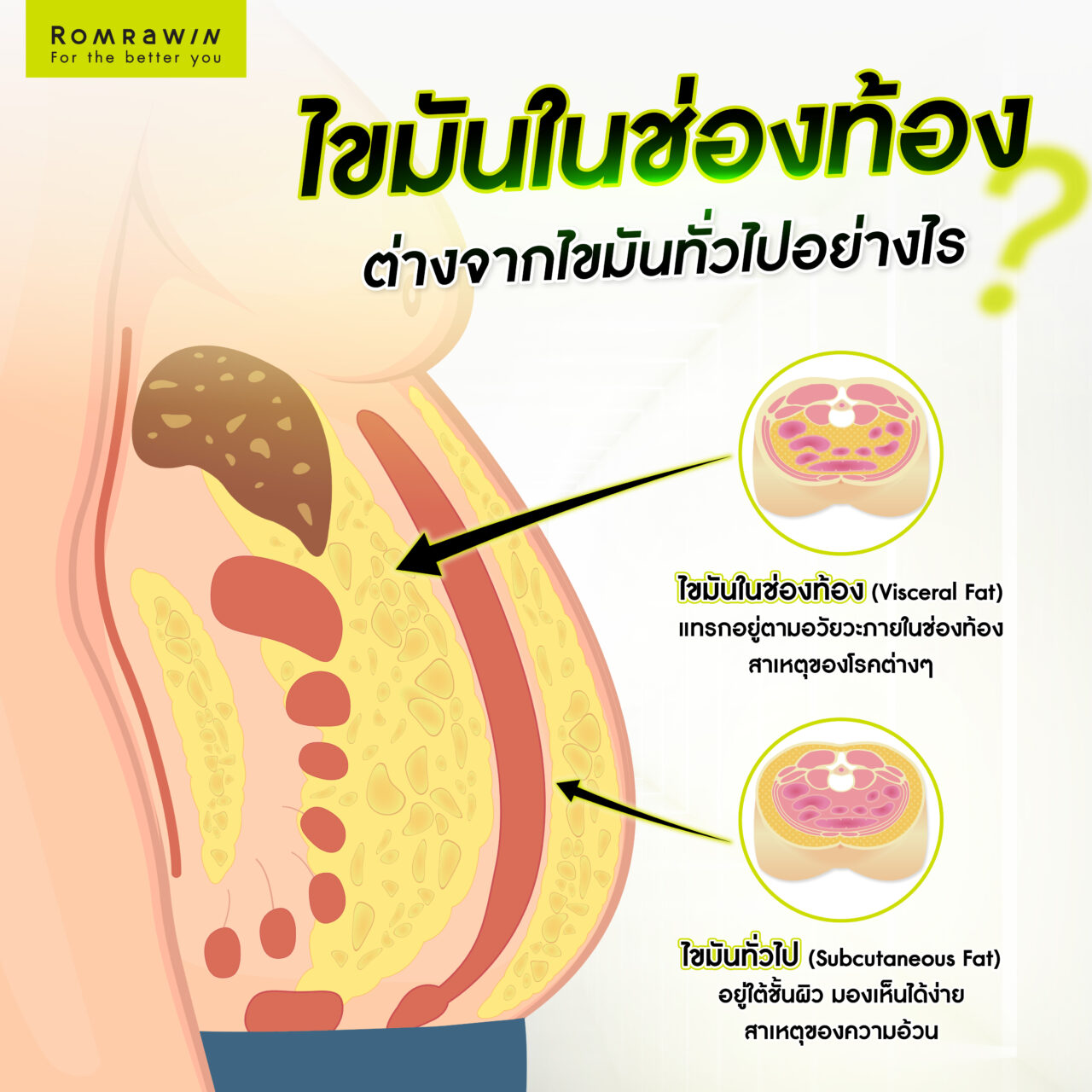 ไขมันในช่องท้อง (visceral fat) ต่างจากไขมันทั่วไปอย่างไร