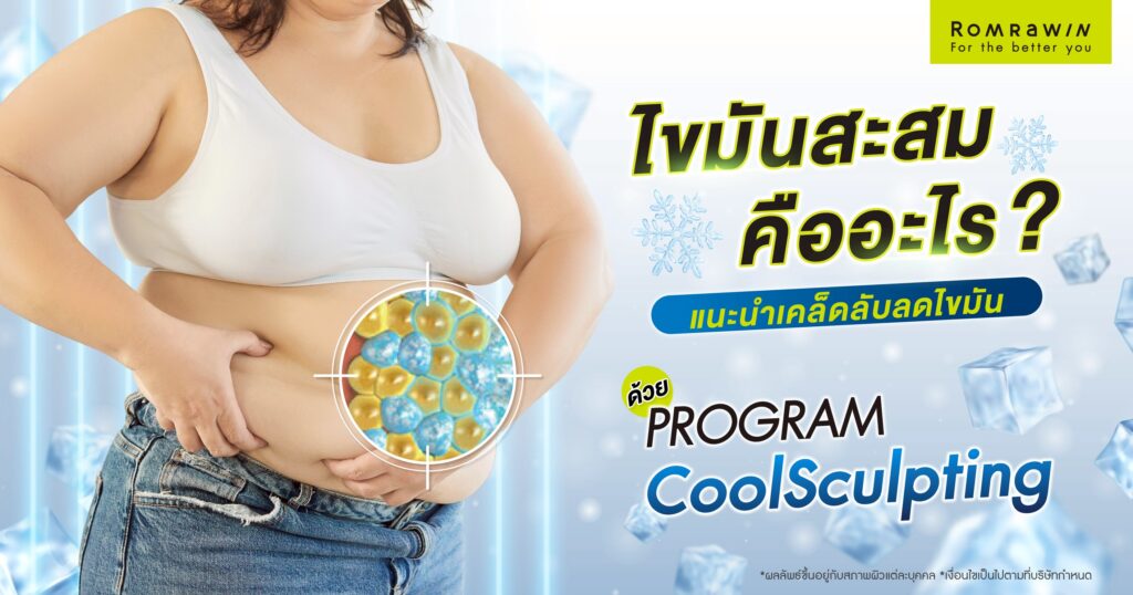 ไขมันสะสม คืออะไร? พร้อมแนะนำเคล็ดลับลดไขมัน 3 ไขมันสะสม คืออะไร
