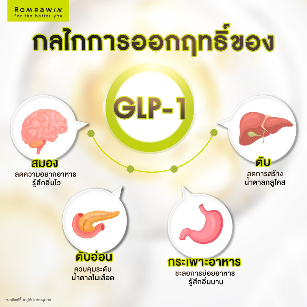 GLP-1 ฮอร์โมนควบคุมความหิว คืออะไร? ทางเลือกใหม่ดูแลหุ่นและสุขภาพไปพร้อมกัน 2 GLP-1 มีกลไกการออกฤทธิ์อย่างไร ?