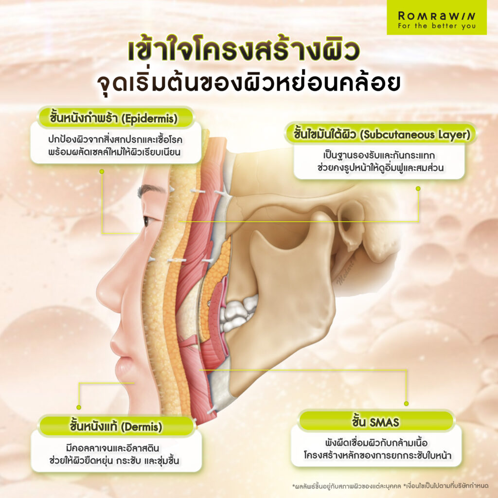เข้าใจโครงสร้างผิว จุดเริ่มต้นของผิวหย่อนคล้อย