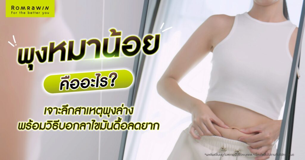 พุงหมาน้อยคืออะไร