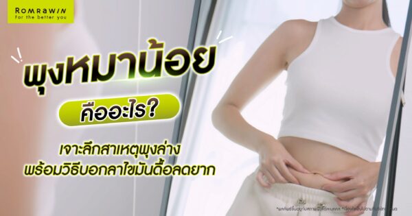 พุงหมาน้อยคืออะไร