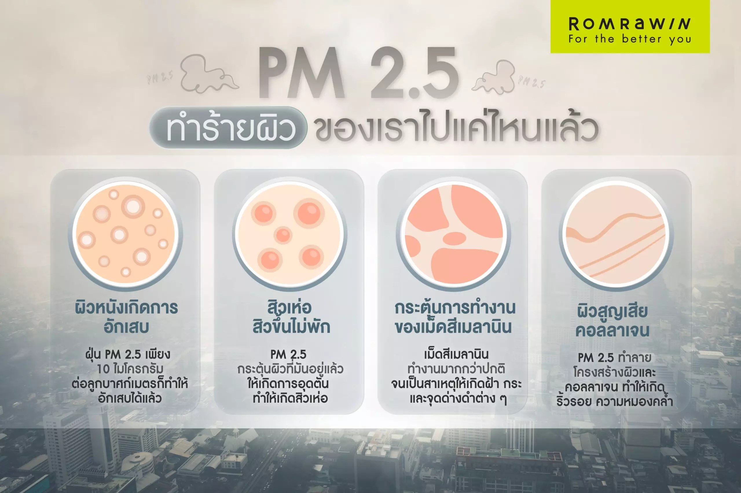 PM 2.5 ทำร้ายผิว