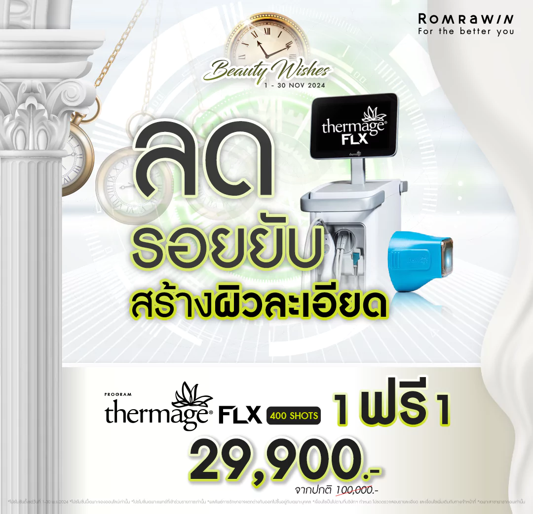 โปรโมชันเดือน 11