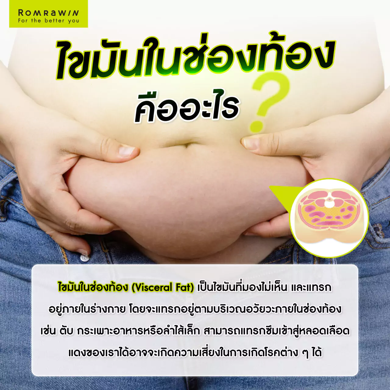 ไขมันในช่องท้อง (visceral fat) คืออะไร