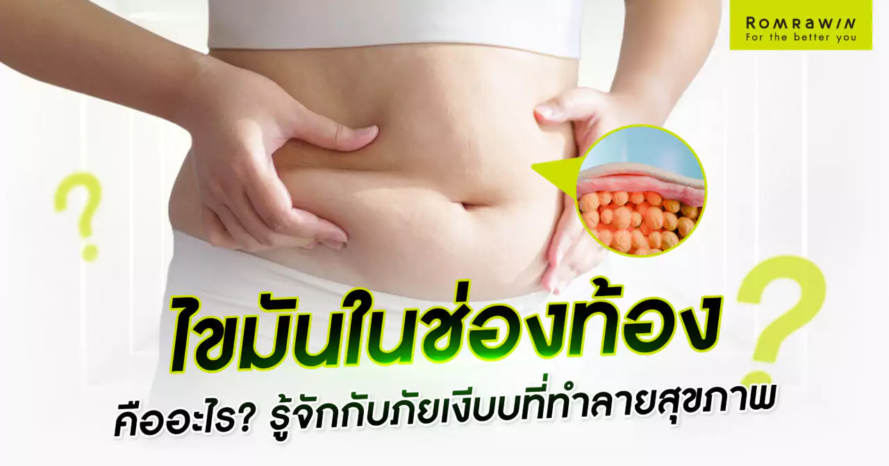 ไขมันในช่องท้อง (visceral fat) คืออะไร อันตรายยังไง