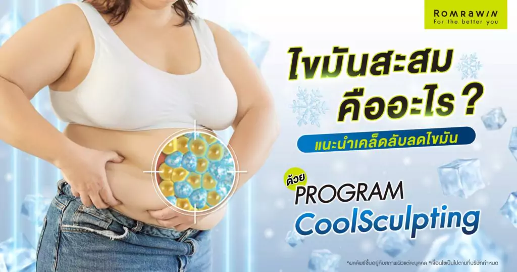 ไขมันสะสม คืออะไร? พร้อมแนะนำเคล็ดลับลดไขมัน 1 ไขมันสะสม คืออะไร