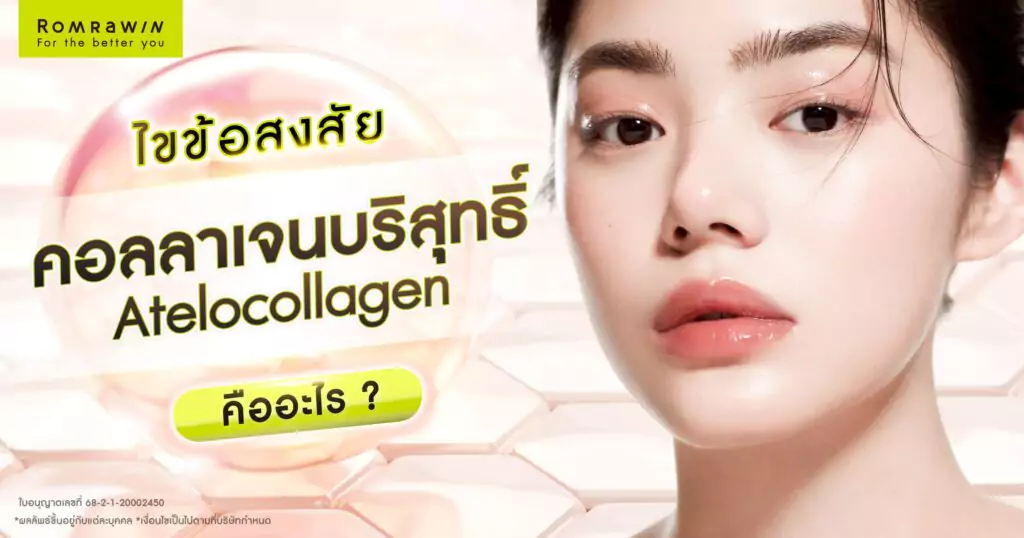 คอลลาเจนบริสุทธิ์ Atelocollagen คืออะไร? ตัวช่วยฟื้นฟูผิวใน Collaju 1 คอลลาเจนบริสุทธิ์ Atelocollagen คืออะไร?