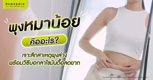 พุงหมาน้อยคืออะไร