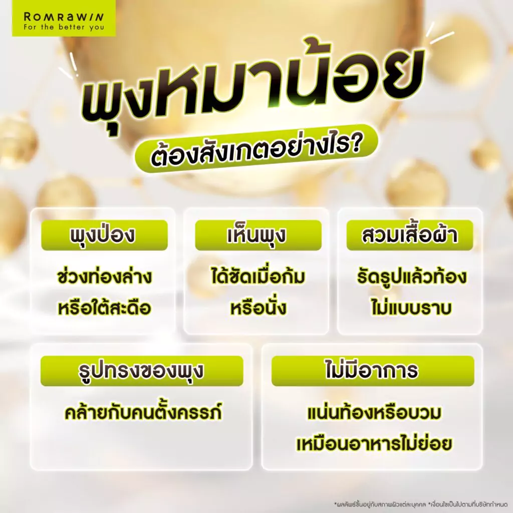 พุงหมาน้อย ต้องสังเกตอย่างไร?