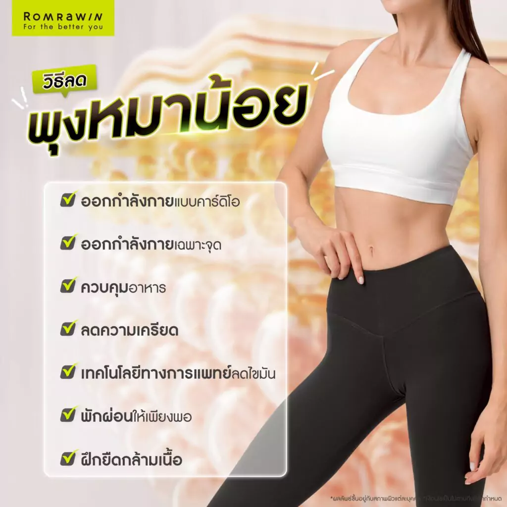 วิธีลดขนาดพุงหมาน้อย