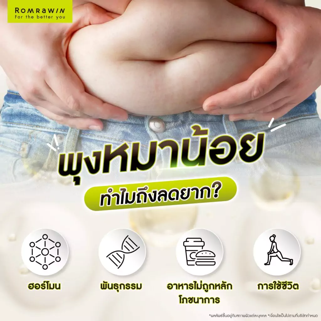 พุงหมาน้อย ทำไมถึงลดได้ยาก