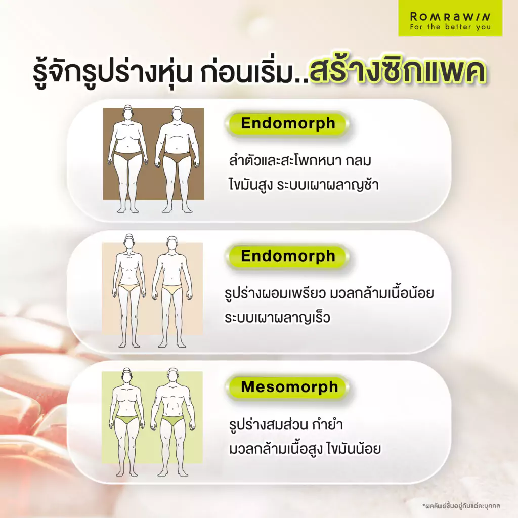 รู้จักรูปร่างหุ่น ก่อนเริ่มสร้างซิกแพค