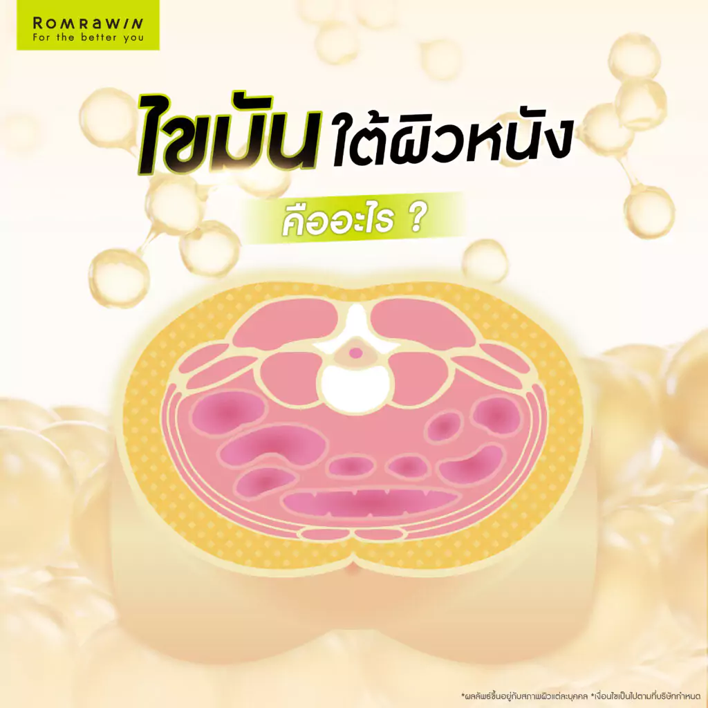 ไขมันใต้ผิวหนัง ปัจจัยแฝงที่ทำทำให้เกิดสิว 2 ไขมันใต้ผิวหนัง คืออะไร ?